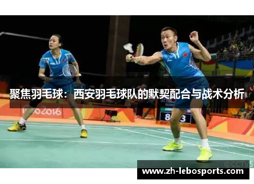 聚焦羽毛球：西安羽毛球队的默契配合与战术分析