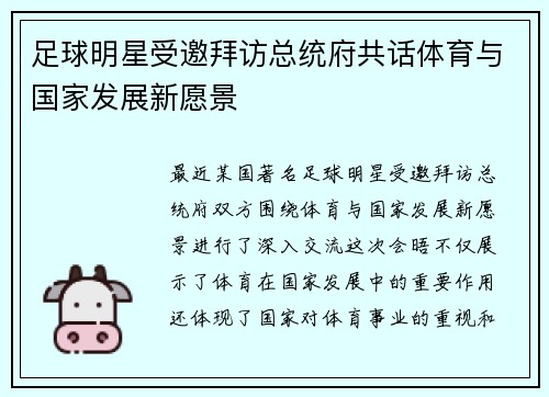足球明星受邀拜访总统府共话体育与国家发展新愿景